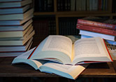 O ar fresco da manhã ou a calmaria do final da tarde são os momentos indicados para os prazeres da leitura. A biblioteca do Montadinho está à sua disposição, com livros para todas as idades e para os gostos mais exigentes